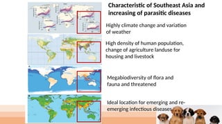 Gastrointestine Parasites in Dogs and Cat in Indonesia | PPT