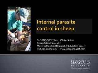 Internal parasite control in sheep SUSAN SCHOENIAN    (Shāy-nē-ŭn)Sheep & Goat SpecialistWestern Maryland Research & Education Centersschoen@umd.edu  -  www.sheepandgoat.com 