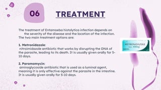 entamoeba-histolytica-pptx