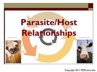 Parasite/Host
Relationships
Copyright 2011 PEER.tamu.edu
 