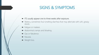 SIGNS & SYMPTOMS
 ITS usually appear one to three weeks after exposure.
 Watery, sometimes foul-smelling diarrhea that may alternate with soft, greasy
stools.
 Fatigue or malaise.
 Abdominal cramps and bloating.
 Gas or flatulence.
 Nausea.
 Weight loss.
 