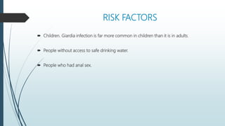 RISK FACTORS
 Children. Giardia infection is far more common in children than it is in adults.
 People without access to safe drinking water.
 People who had anal sex.
 