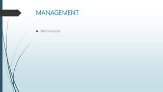 MANAGEMENT
 Metronidazole
 
