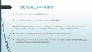 SIGNS & SYMPTOMS
 It is a common cause of vaginitis in women
 men with this infection can display symptoms of urethritis.
 only 2% of women with the infection will have a "strawberry" cervix (colpitis macularis, an
erythematous cervix with pinpoint areas of exudation) or vagina on examination.
 This is due to capillary dilation as a result of the inflammatory response.
 Infection rates between men and women are similar with women being symptomatic, while
infections in men are usually asymptomatic.
 