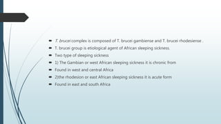  T. brucei complex is composed of T. brucei gambiense and T. brucei rhodesiense .
 T. brucei group is etiological agent of African sleeping sickness.
 Two type of sleeping sickness
 1) The Gambian or west African sleeping sickness it is chronic from
 Found in west and central Africa
 2)the rhodesion or east African sleeping sickness it is acute form
 Found in east and south Africa
 
