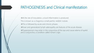 PATHOGENESIS and Clinical manifestation
At the site of inoculation, a local inflammation is produced.
This is known as a chagoma a small painful, reddish nodule.
This is followed by acute and chronic phases.
Fever and generalized lymph adenopathy are features of the acute disease.
Trypanosoma's may enter in the conjunctiva of the eye and cause edema of eyelid
and a conjunctiva, a condition called roman`s sign.
 