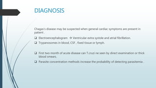 DIAGNOSIS
Chagas's disease may be suspected when general cardiac symptoms are present in
patient .
 Electroencephalogram  Ventricular extra systole and atrial fibrillation.
 Trypanosomes in blood, CSF , fixed tissue or lymph.
 First two month of acute disease can T.cruzi ne seen by direct examination or thick
blood smears.
 Parasite concentration methods increase the probability of detecting parasitemia .
 