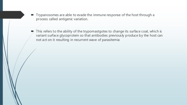 essay on sleeping sickness Bio 102 african sleeping sickness african sleeping sickness, also known as african trypanosomiasis, is caused by the tsetse fly and primarily affects the. essay on sleeping sickness Bio 102 african sleeping sickness african sleeping sickness, also known as african trypanosomiasis, is caused by the tsetse fly and primarily affects the.