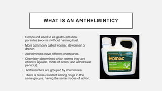 WHAT IS AN ANTHELMINTIC?
• Compound used to kill gastro-intestinal
parasites (worms) without harming host.
• More commonly called wormer, dewormer or
drench.
• Anthelmintics have different chemistries.
• Chemistry determines which worms they are
effective against, mode of action, and withdrawal
period(s).
• Anthelmintics are grouped by chemistries.
• There is cross-resistant among drugs in the
same groups, having the same modes of action.
 