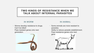 IN WORM
• Worms develop resistance to drugs.
Can’t be killed!
Pass resistant genes onto next
generation.
• Some animals are more resistant to
parasites.
Ability to reduce parasite establishment.
Pass resistance genes onto next
generation.
IN ANIMAL
TWO KINDS OF RESISTANCE WHEN WE
TALK ABOUT INTERNAL PARASITES
 