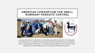 AMERICAN CONSORTIUM FOR SMALL
RUMINANT PARASITE CONTROL
A group of scientists, veterinarians, and extension specialists devoted to (1) developing
novel methods for sustainable control of gastro-intestinal nematodes in small ruminants
and (2) educating the stakeholders in the small ruminant industry on the most up-to-date
methods and recommendations for control of gastrointestinal nematodes.
 