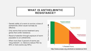 WHAT IS ANTHELMINTIC
RESISTANCE?
• Genetic ability of a worm to survive a dose of
anthelmintic which would normally be
effective.
• Only worms that survive treatment carry
genes that confer resistance.
• Result of selection through exposure of worm
population to an anthelmintic.
• When more than 5 percent of worms are
“drug tolerant”; i.e. failure to reduce FEC by
95% or more (some say 90%).
http://www.scops.org.uk/what-is-resistance.html
 