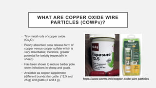 WHAT ARE COPPER OXIDE WIRE
PARTICLES (COWPS)?
• Tiny metal rods of copper oxide
(Cu2O).
• Poorly absorbed, slow release form of
copper versus copper sulfate which is
very absorbable; therefore, greater
potential for toxicity (especially in
sheep).
• Has been shown to reduce barber pole
worm infections in sheep and goats.
• Available as copper supplement
(different brands) for cattle (12.5 and
25 g) and goats (2 and 4 g). https://www.wormx.info/copper-oxide-wire-particles
 