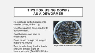 TIPS FOR USING COWPS
AS A DEWORMER
• Re-package cattle boluses into
smaller doses, 0.5 or 1 g.
• Use the smallest dose needed to
achieve effect.
• Goat boluses can also be
repackaged.
• Dose based on age not weight:
mature vs. young.
• Best to selectively treat animals
showing clinical signs of
Haemonchosis (FAMACHA© 4 or
https://www.wormx.info/cowp-safety
 