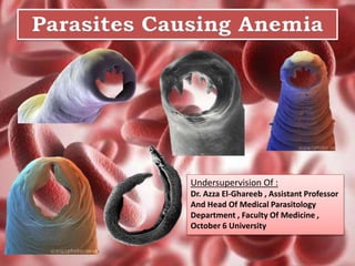 Parasites Causing Anemia
Undersupervision Of :
Dr. Azza El-Ghareeb , Assistant Professor
And Head Of Medical Parasitology
Department , Faculty Of Medicine ,
October 6 University
 