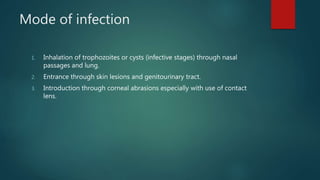 Mode of infection
1. Inhalation of trophozoites or cysts (infective stages) through nasal
passages and lung.
2. Entrance through skin lesions and genitourinary tract.
3. Introduction through corneal abrasions especially with use of contact
lens.
 