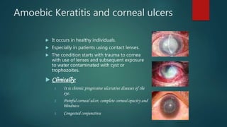 Amoebic Keratitis and corneal ulcers
 It occurs in healthy individuals.
 Especially in patients using contact lenses.
 The condition starts with trauma to cornea
with use of lenses and subsequent exposure
to water contaminated with cyst or
trophozoites.
 Clinically:
1. It is chronic progressive ulcerative diseases of the
eye.
2. Painful corneal ulcer, complete corneal opacity and
blindness
3. Congested conjunctiva
 