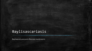 Baylisascariasis
Baylisascaris procyonis (Raccoon round worm)
 