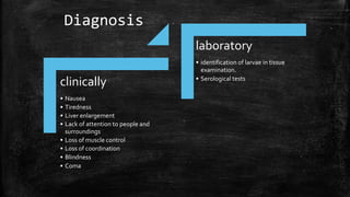 clinically
• Nausea
• Tiredness
• Liver enlargement
• Lack of attention to people and
surroundings
• Loss of muscle control
• Loss of coordination
• Blindness
• Coma
laboratory
• identification of larvae in tissue
examination.
• Serological tests
Diagnosis
 