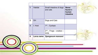 1 Habitat Small intestine of dogs
and cats
Never
found n
human
intestine
2 DH Dogs and Cats
3 I. Host 1st :. Cyclops
2nd :. Frogs – snakes –
birds
4 Larva name Sparganum mansoni
 