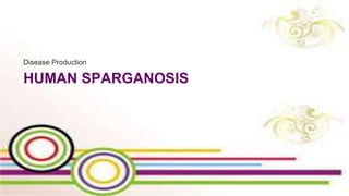 HUMAN SPARGANOSIS
Disease Production
 