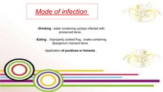Mode of infection
-Drinking : water containing cyclops infected with
procercoid larva .
-Eating :. Improperly cooked frog , snake containing
Sparganum mansoni larva .
-Application of poultices or foments .
 