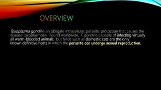 Toxoplasma gondii is an obligate intracellular, parasitic protozoan that causes the
disease toxoplasmosis. Found worldwide, T. gondii is capable of infecting virtually
all warm-blooded animals, but felids such as domestic cats are the only
known definitive hosts in which the parasite can undergo sexual reproduction.
 