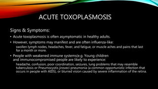 ACUTE TOXOPLASMOSIS
Signs & Symptoms:
• Acute toxoplasmosis is often asymptomatic in healthy adults.
• However, symptoms may manifest and are often influenza-like:
swollen lymph nodes, headaches, fever, and fatigue, or muscle aches and pains that last
for a month or more.
• People with weakened immune systems(e.g. Young children
and immunocompromised people are likely to experience:
headache, confusion, poor coordination, seizures, lung problems that may resemble
tuberculosis or Pneumocystis jiroveci pneumonia (a common opportunistic infection that
occurs in people with AIDS), or blurred vision caused by severe inflammation of the retina.
 