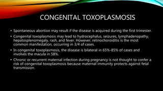 CONGENITAL TOXOPLASMOSIS
• Spontaneous abortion may result if the disease is acquired during the first trimester.
• Congenital toxoplasmosis may lead to hydrocephalus, seizures, lymphadenopathy,
hepatosplenomegaly, rash, and fever. However, retinochoroiditis is the most
common manifestation, occurring in 3/4 of cases.
• In congenital toxoplasmosis, the disease is bilateral in 65%-85% of cases and
involves the macula in 58%.
• Chronic or recurrent maternal infection during pregnancy is not thought to confer a
risk of congenital toxoplasmosis because maternal immunity protects against fetal
transmission.
 