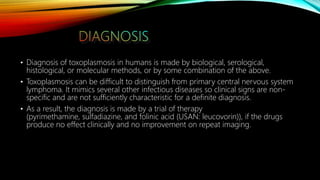 • Diagnosis of toxoplasmosis in humans is made by biological, serological,
histological, or molecular methods, or by some combination of the above.
• Toxoplasmosis can be difficult to distinguish from primary central nervous system
lymphoma. It mimics several other infectious diseases so clinical signs are non-
specific and are not sufficiently characteristic for a definite diagnosis.
• As a result, the diagnosis is made by a trial of therapy
(pyrimethamine, sulfadiazine, and folinic acid (USAN: leucovorin)), if the drugs
produce no effect clinically and no improvement on repeat imaging.
 