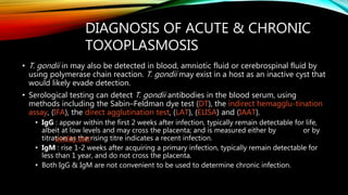 DIAGNOSIS OF ACUTE & CHRONIC
TOXOPLASMOSIS
• T. gondii in may also be detected in blood, amniotic fluid or cerebrospinal fluid by
using polymerase chain reaction. T. gondii may exist in a host as an inactive cyst that
would likely evade detection.
• Serological testing can detect T. gondii antibodies in the blood serum, using
methods including the Sabin–Feldman dye test (DT), the indirect hemagglu-tination
assay, (IFA), the direct agglutination test, (LAT), (ELISA) and (IAAT).
• IgG : appear within the first 2 weeks after infection, typically remain detectable for life,
albeit at low levels and may cross the placenta; and is measured either by or by
titration as the rising titre indicates a recent infection.
• IgM : rise 1-2 weeks after acquiring a primary infection, typically remain detectable for
less than 1 year, and do not cross the placenta.
• Both IgG & IgM are not convenient to be used to determine chronic infection.
avidity test
 