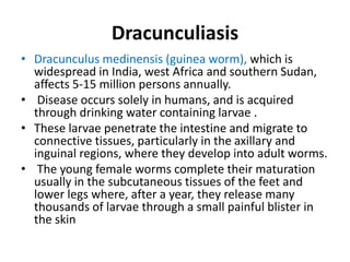 Dracunculiasis
• Dracunculus medinensis (guinea worm), which is
widespread in India, west Africa and southern Sudan,
affects 5-15 million persons annually.
• Disease occurs solely in humans, and is acquired
through drinking water containing larvae .
• These larvae penetrate the intestine and migrate to
connective tissues, particularly in the axillary and
inguinal regions, where they develop into adult worms.
• The young female worms complete their maturation
usually in the subcutaneous tissues of the feet and
lower legs where, after a year, they release many
thousands of larvae through a small painful blister in
the skin
 