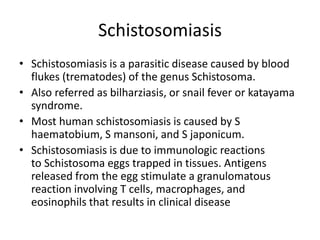Schistosomiasis
• Schistosomiasis is a parasitic disease caused by blood
flukes (trematodes) of the genus Schistosoma.
• Also referred as bilharziasis, or snail fever or katayama
syndrome.
• Most human schistosomiasis is caused by S
haematobium, S mansoni, and S japonicum.
• Schistosomiasis is due to immunologic reactions
to Schistosoma eggs trapped in tissues. Antigens
released from the egg stimulate a granulomatous
reaction involving T cells, macrophages, and
eosinophils that results in clinical disease
 