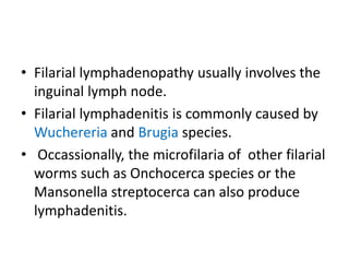 • Filarial lymphadenopathy usually involves the
inguinal lymph node.
• Filarial lymphadenitis is commonly caused by
Wuchereria and Brugia species.
• Occassionally, the microfilaria of other filarial
worms such as Onchocerca species or the
Mansonella streptocerca can also produce
lymphadenitis.
 