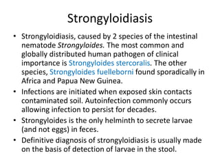 Strongyloidiasis
• Strongyloidiasis, caused by 2 species of the intestinal
nematode Strongyloides. The most common and
globally distributed human pathogen of clinical
importance is Strongyloides stercoralis. The other
species, Strongyloides fuelleborni found sporadically in
Africa and Papua New Guinea.
• Infections are initiated when exposed skin contacts
contaminated soil. Autoinfection commonly occurs
allowing infection to persist for decades.
• Strongyloides is the only helminth to secrete larvae
(and not eggs) in feces.
• Definitive diagnosis of strongyloidiasis is usually made
on the basis of detection of larvae in the stool.
 