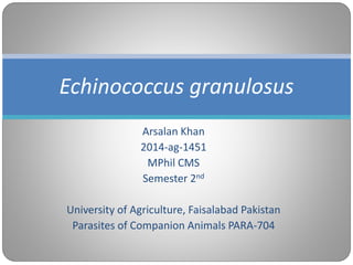 Arsalan Khan
2014-ag-1451
MPhil CMS
Semester 2nd
University of Agriculture, Faisalabad Pakistan
Parasites of Companion Animals PARA-704
Echinococcus granulosus
 