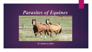 Parasites of Equines
Dr. Fakhar-e-Alam
 