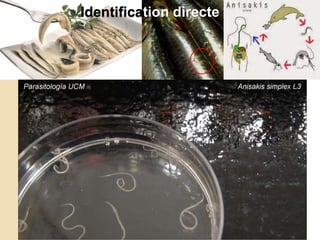 Identification directe
 