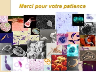 Les parasites: l'ennemi inconnu par Sandra