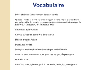 MST: Maladie Sexuellement Transmissible
Quiste: Kiste  Forme parasitologique developpée par certains
parasites afin de survivre en ambiances défavorables (manque de
nutrients, température, humidité, etc)
Síntomas: Symptômes
Cérvix, cuello de útero: Col de l´utérus
Baisse, fragile: Faible
Picadura: piqûre
Mosquito macho/hembra: Moustique mâle/femelle
Glóbulo rojo/Eritrocito: Des globules rouges/Érythrocyte
Peludo: Velu
Antenas, alas, aparato genital: Antenne, ailes, appareil génital
 