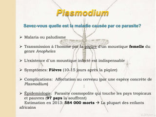  Malaria ou paludisme
 Transmission à l'homme par la piqûre d'un moustique femelle du
genre Anopheles
 L’existence d´un moustique infecté est indispensable
 Symptômes: Fièvre (10-15 jours après la piqûre)
 Complications: Affectation au cerveau (par une espèce concrète de
Plasmodium)
 Épidemiologie: Parasite cosmopolite qui touche les pays tropicaux
et pauvres (97 pays la souffrent)
Estimation en 2013: 584 000 morts  La plupart des enfants
africains
 
