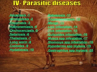 .Ascariasis -1       .Babesiosis -11
.strongylosis -2     .Trypanosomiasis -12
.Oxyuriasis -3       .Mange -13
.Habronemiasis -4    .Lice infestation -14
.Onchocerciasis -5   .Tick infestation -15
.Setariosis -6       .Culicoides infestation -16
.Thelaziasis -7      .Musca spp infestation -17
.Lung worm -8        .Stomoxys spp infestation -18
.Cestodes -9         .Hypoderma spp myiasis -19
.Hydatidosis -10     .Gastrophilus spp myiasis -20
 