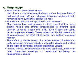 Flexuous Rods Particles Parasitic causes of plant diseases.pptx. | PPTX