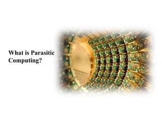 Parasitic computing | PPSX