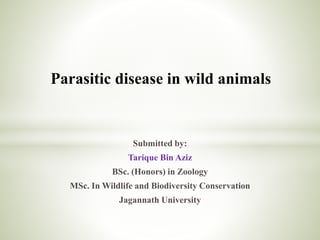Parasitic disease in wild animals