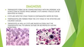 Stool Cyst PARASITIC DISEASES-1.pptx