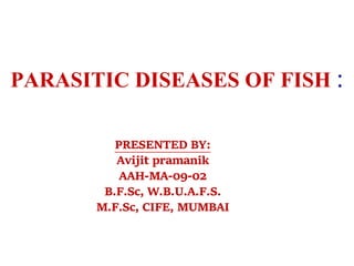 PARASITIC DISEASES OF FISH :
PRESENTED BY:
Avijit pramanik
AAH-MA-09-02
B.F.Sc, W.B.U.A.F.S.
M.F.Sc, CIFE, MUMBAI
 