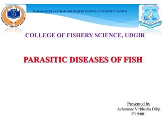 COLLEGE OF FISHERY SCIENCE, UDGIR
Presented by
Achamare Virbhadra Dilip
F/19/001
MAHARASHTRAANIMALAND FISHERY SCIENCE UNIVERSITY, NAGPUR
 