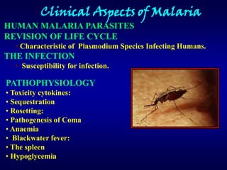 Clinical Aspects of Malaria
HUMAN MALARIA PARASITES
REVISION OF LIFE CYCLE
  • Characteristic of Plasmodium Species Infecting Humans.
THE INFECTION
  • Susceptibility for infection.

PATHOPHYSIOLOGY
• Toxicity cytokines:
• Sequestration
• Rosetting:
• Pathogenesis of Coma
• Anaemia
• Blackwater fever:
• The spleen
• Hypoglycemia
 