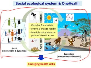 Importance of parasitic foodborne diseases in rural areas of southern Laos: A long-term case study using an integrated approach